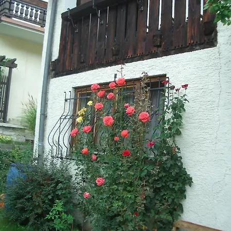 Ulli Zell am See