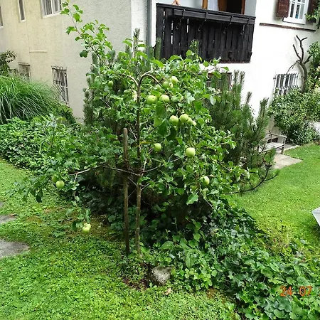 Apartment Ulli